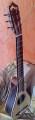 Guitarra de Viajero palo de rosa3